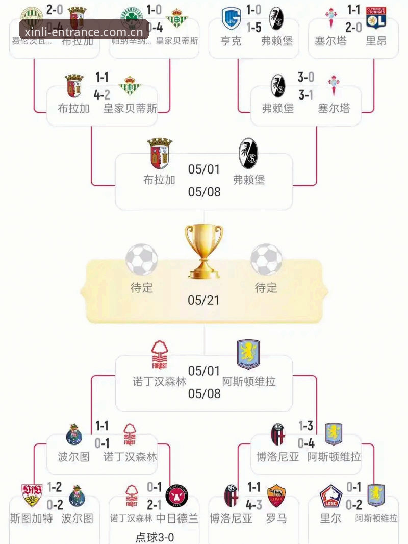 阿斯顿维拉欧联杯夺冠深度分析：埃梅里五冠传奇与新利体育平台赛事体验全面解析