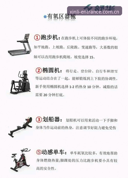 老用户实测分享：新利体育2026版使用技巧与高效操作全指南