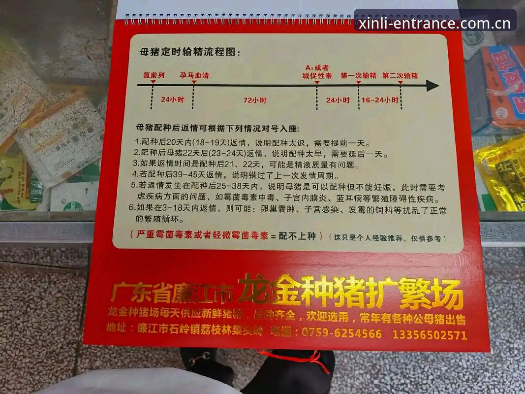 新利体育官网地址2026 揭秘新利体育官网地址2026背后的真相:老用户亲测新版体验全记录